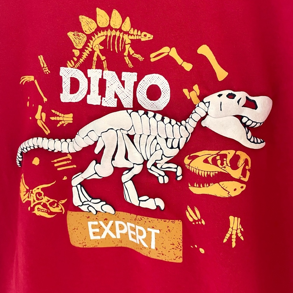 NEW Dino Expert Raised Dinosaur 🦖 T-Rex Skeleton Graphic T-Shirt, Ollie's Place
